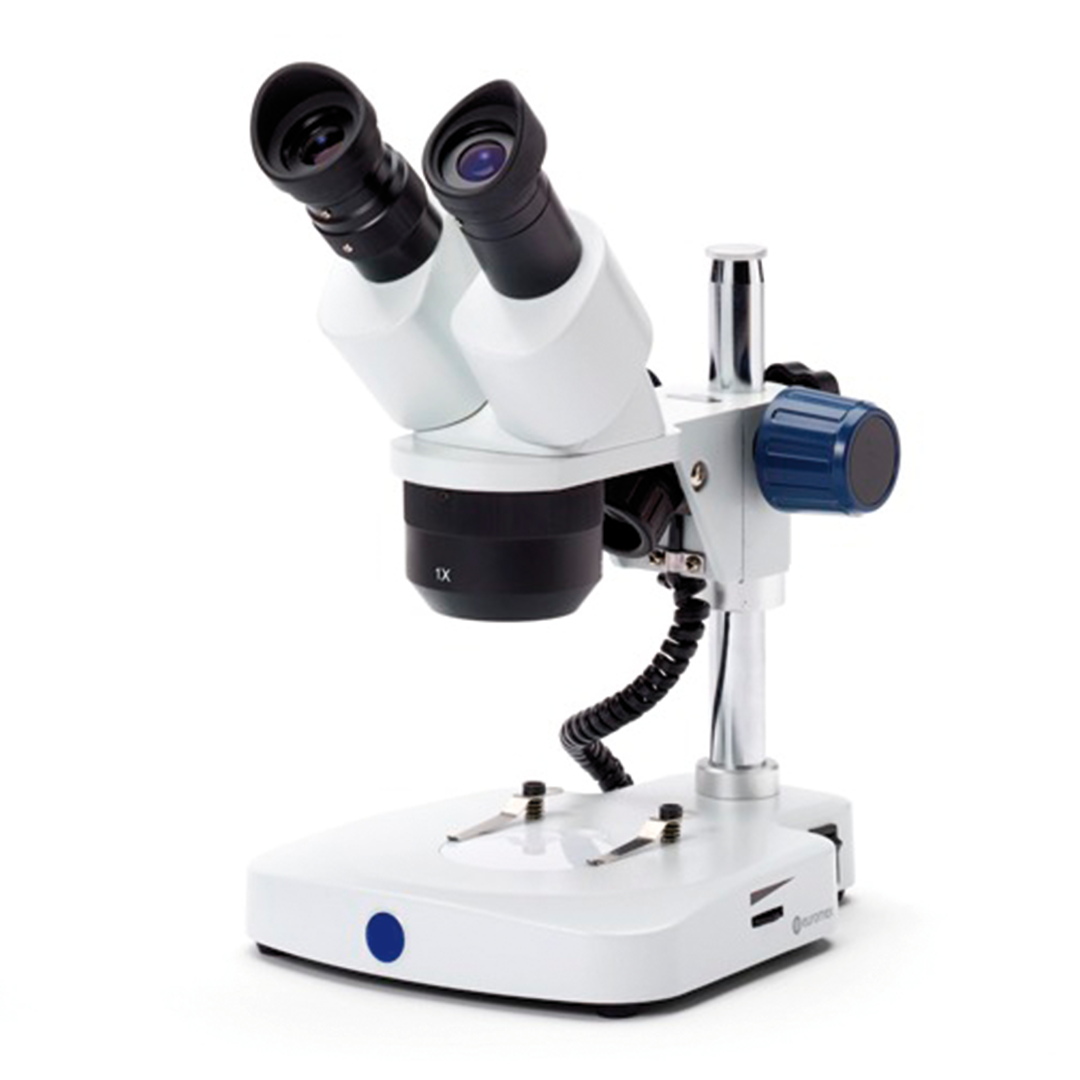 Stereomikroskop B 51-1302, mit Säulenstativ
